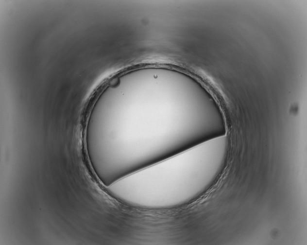 X0000100201408200805300737