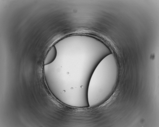 X0000100201409200805300737