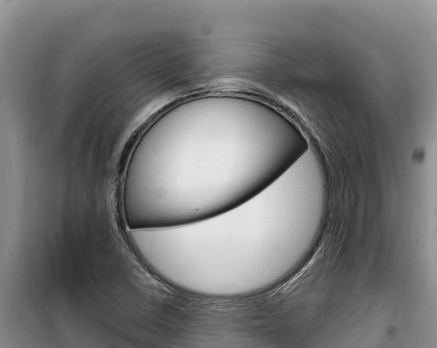 X0000100201410200805300737