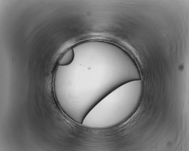 X0000100201411200805300737