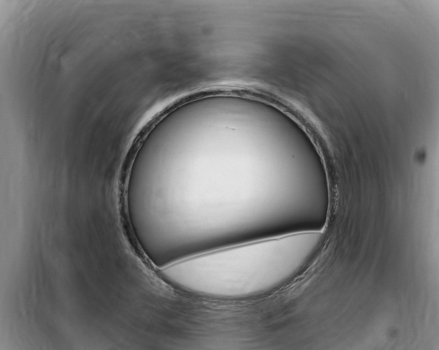 X0000100201412200805300737