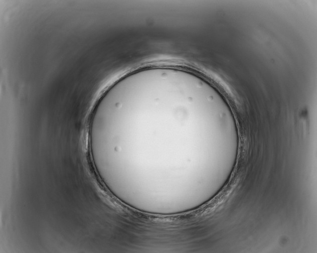 X0000100201413200805300737