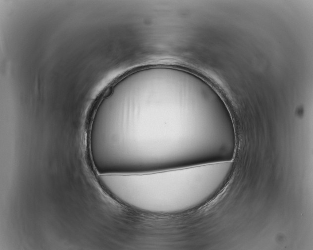 X0000100201414200805300737