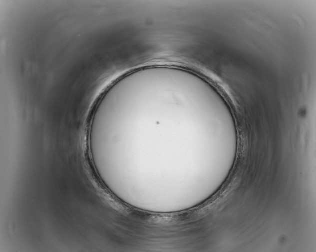 X0000100201415200805300737