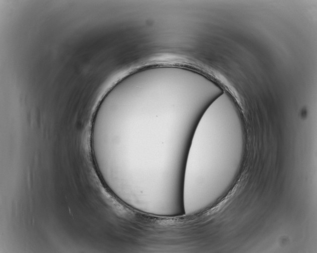 X0000100201421200805300737