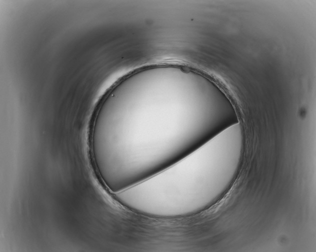 X0000100201422200805300737