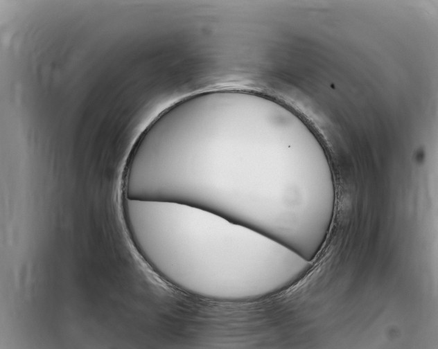 X0000100201423200805300737