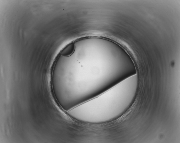 X0000100201424200805300737