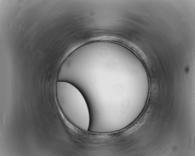 X0000100201425200805300737