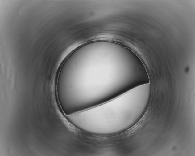 X0000100201426200805300737
