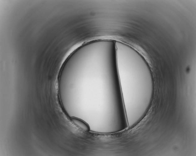 X0000100201428200805300737