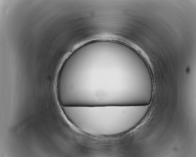 X0000100201429200805300737