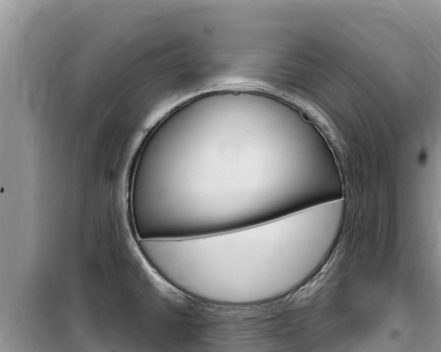 X0000100201430200805300737