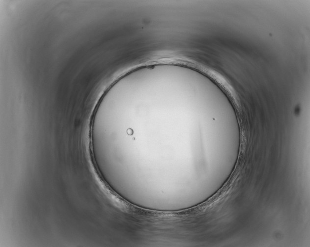 X0000100201431200805300737