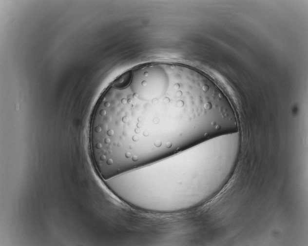 X0000100201432200805300737