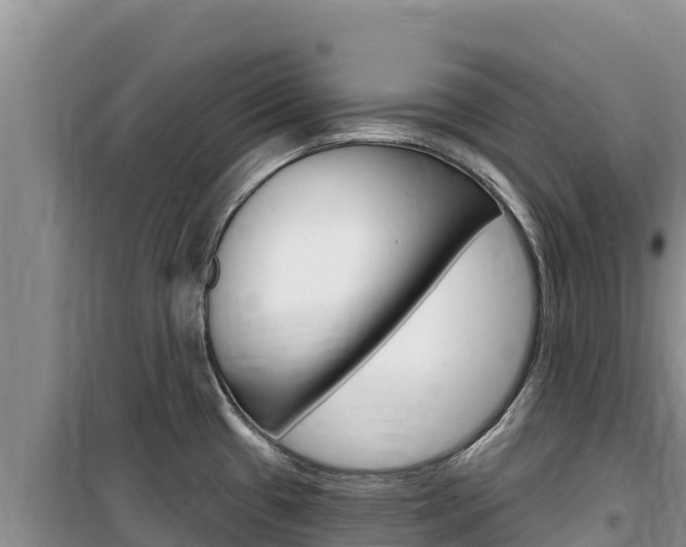 X0000100201433200805300737