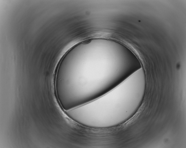 X0000100201434200805300737