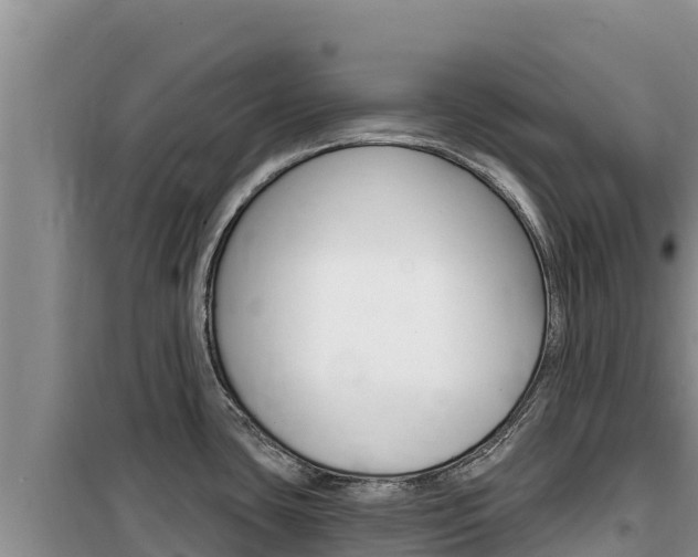 X0000100201435200805300737