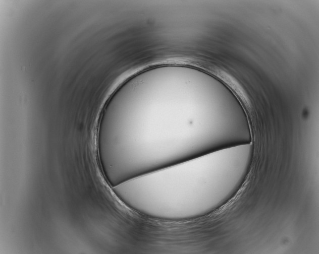 X0000100201436200805300737