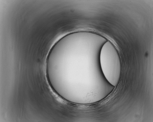 X0000100201439200805300737