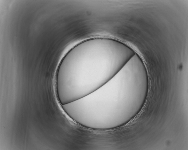 X0000100201440200805300737
