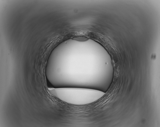 X0000100201441200805300736