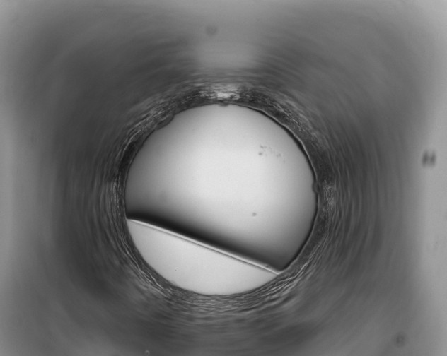 X0000100201442200805300736