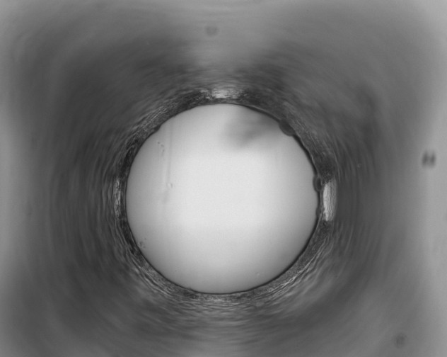 X0000100201443200805300736