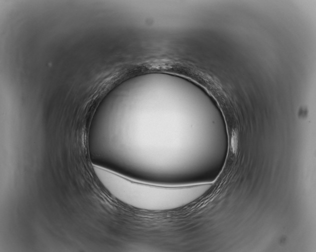 X0000100201444200805300736