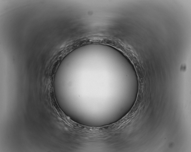 X0000100201445200805300736