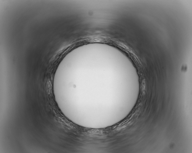 X0000100201446200805300736