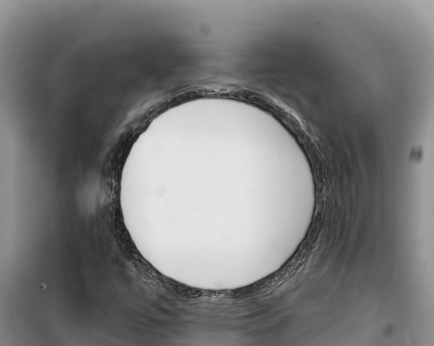 X0000100201447200805300736