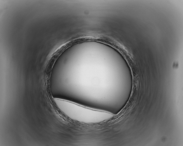 X0000100201448200805300736