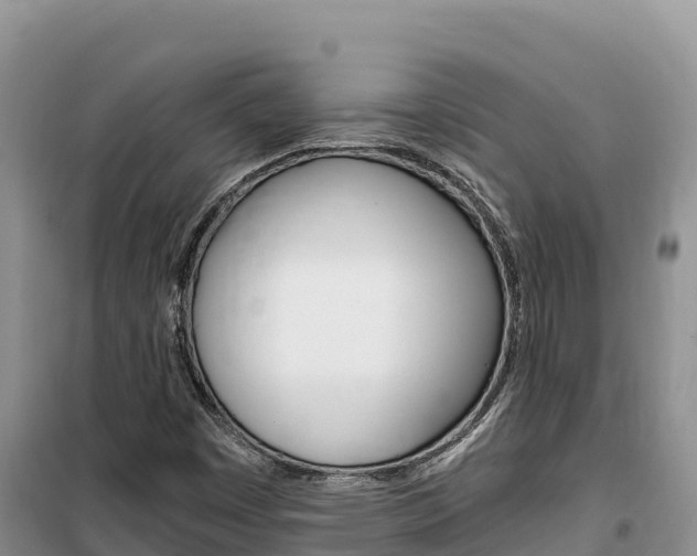 X0000100201449200805300736