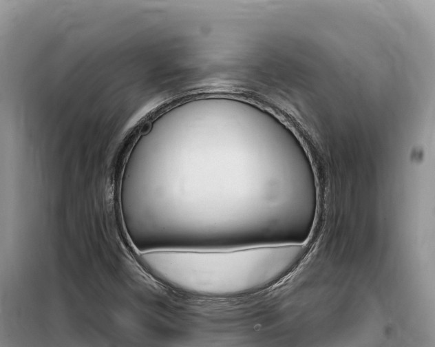 X0000100201450200805300736