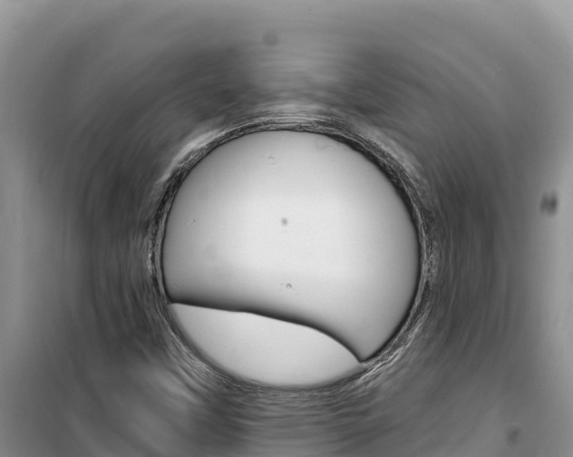 X0000100201451200805300736