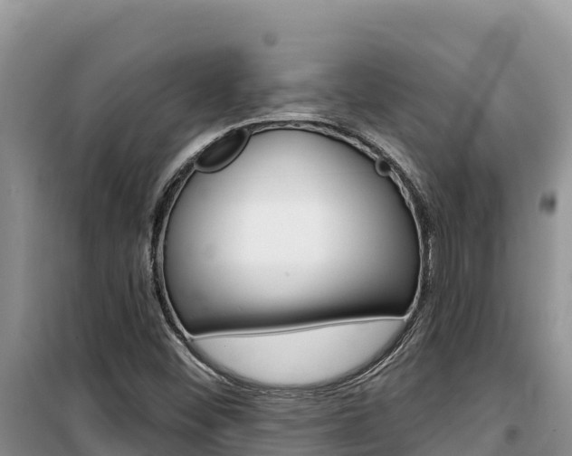 X0000100201452200805300736