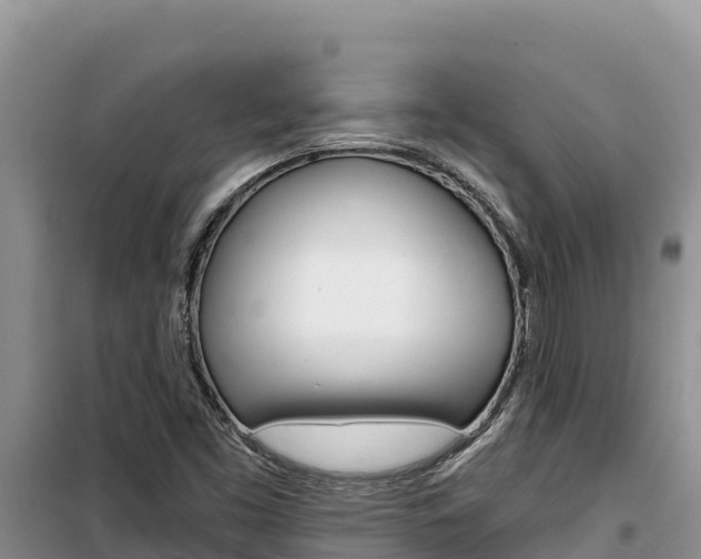 X0000100201453200805300736