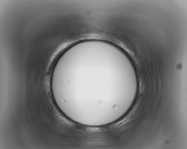 X0000100201454200805300736