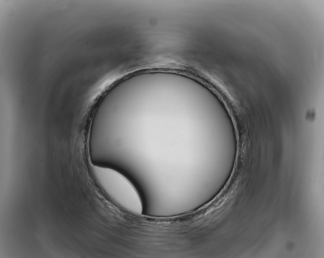 X0000100201455200805300736