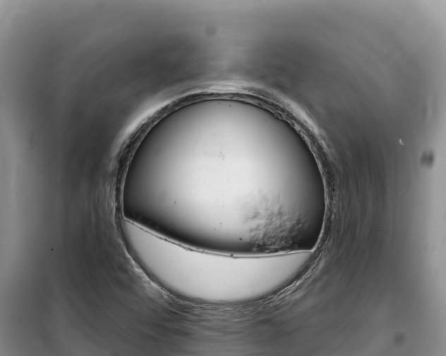 X0000100201456200805300736
