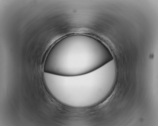 X0000100201457200805300736
