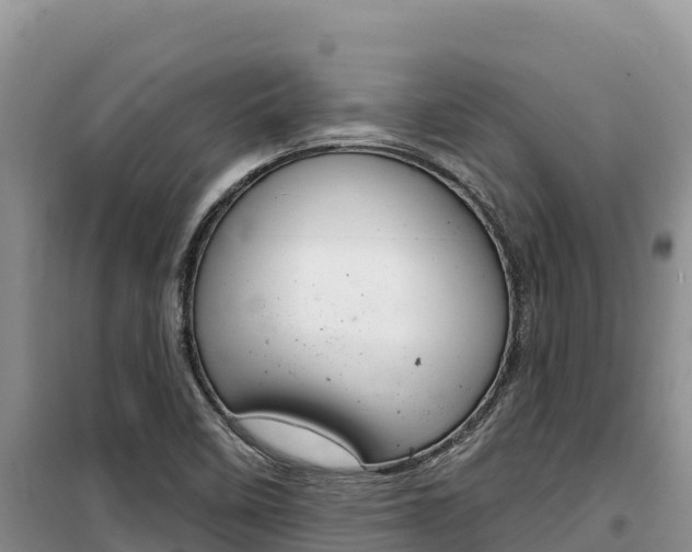 X0000100201458200805300736