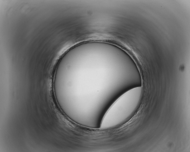X0000100201459200805300736