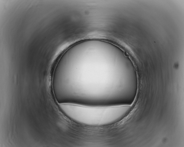 X0000100201461200805300736