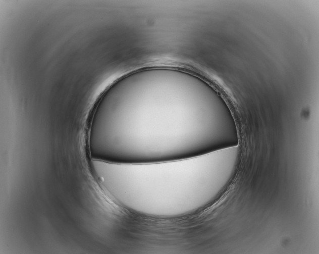 X0000100201463200805300736