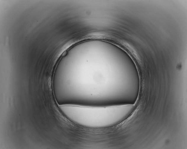 X0000100201465200805300736