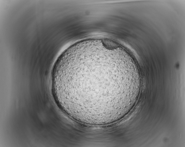 X0000100201467200805300736