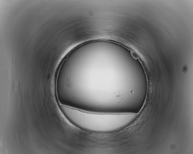 X0000100201468200805300736