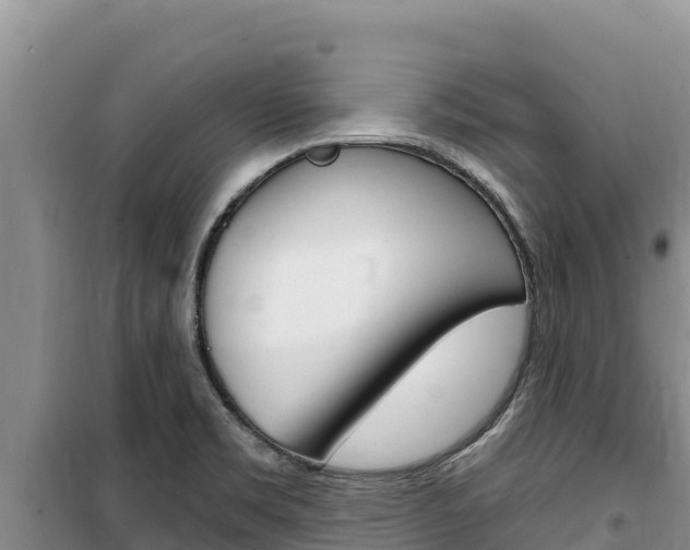 X0000100201469200805300736
